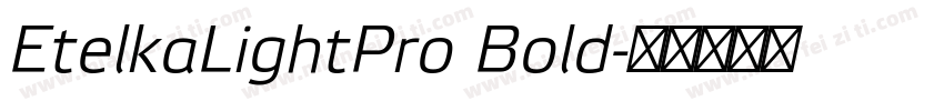 EtelkaLightPro Bold字体转换